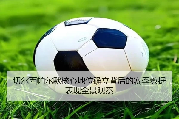 切尔西帕尔默核心地位确立背后的赛季数据表现全景观察